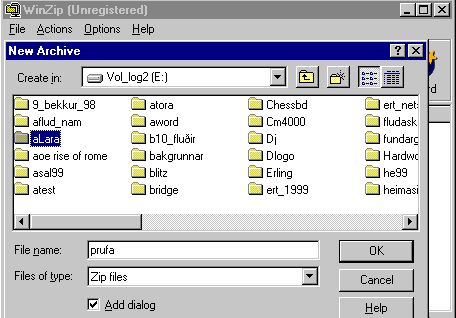 cp12zp06.jpg (34680 bytes)