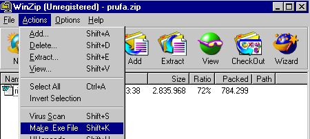 cp12zp09.jpg (25594 bytes)